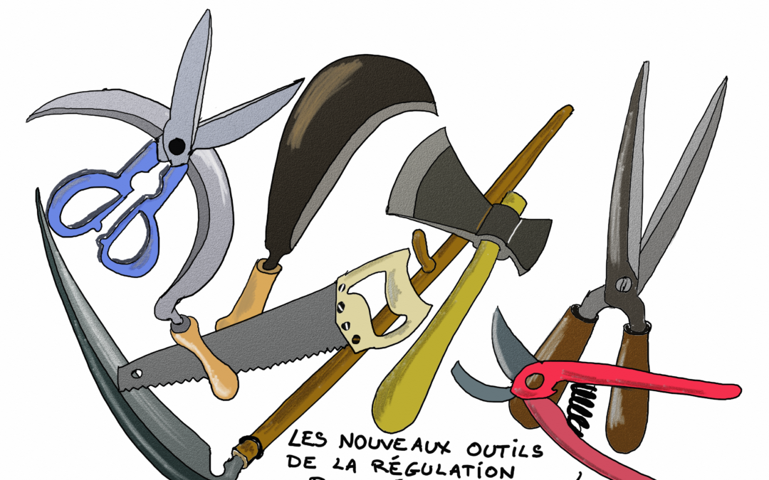 Ça ne marche pas ? (Heureusement !) : La rationalité budgétaire 7/12